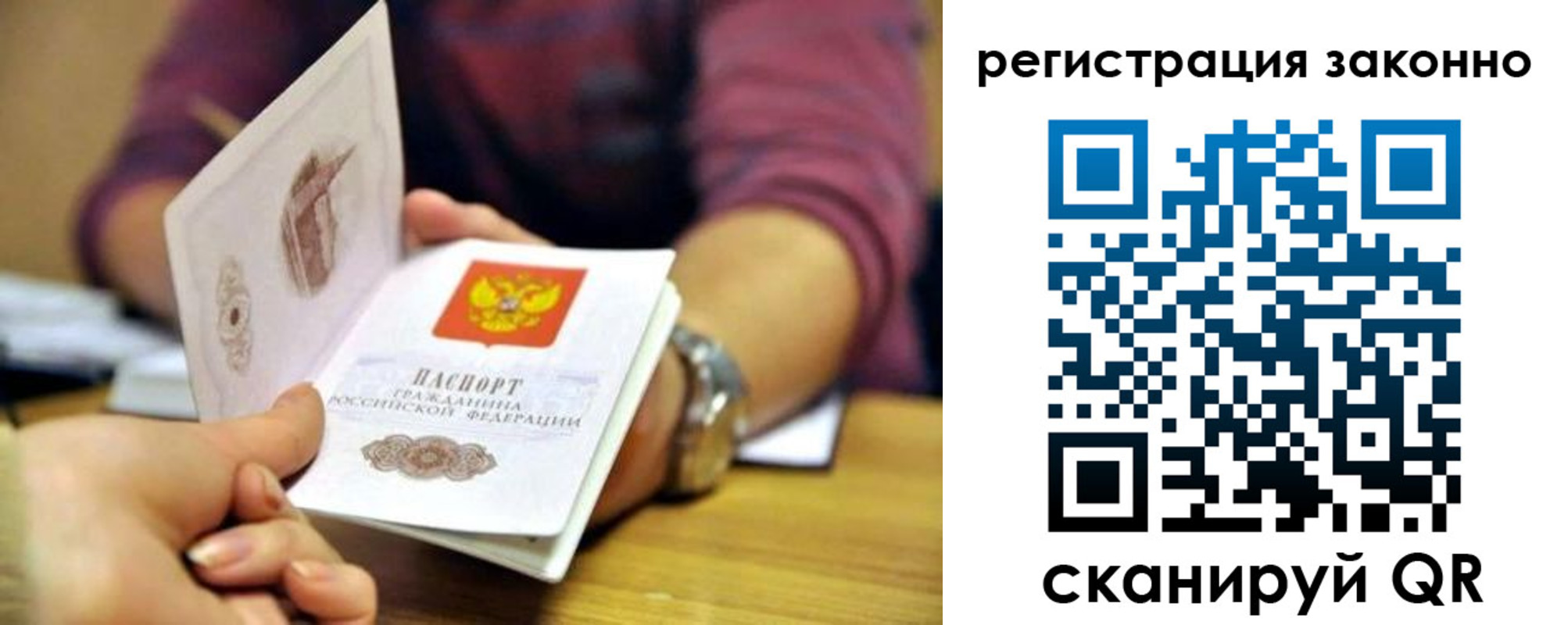 прописка для работы в Светлогорске